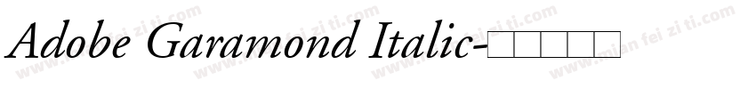 Adobe Garamond Italic字体转换